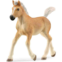 POLTRE HAFLINGER  Schleich Cavall