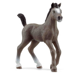 POLTRE CHEVAL DE SELLE FRANÇAIS  Schleich Cavall