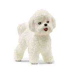 BICHON FRISE(Gos)  Schleich