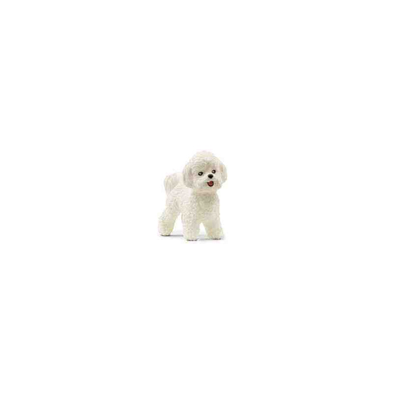 BICHON FRISE(Gos)  Schleich