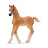 POLTRE ARAB  Schleich Cavall