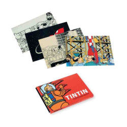 SET 16 POSTALS TINTIN LLUNA