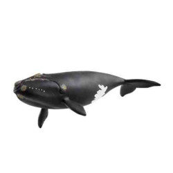 BALLENA FRANCA GLACIAL Wild  Life Schleich