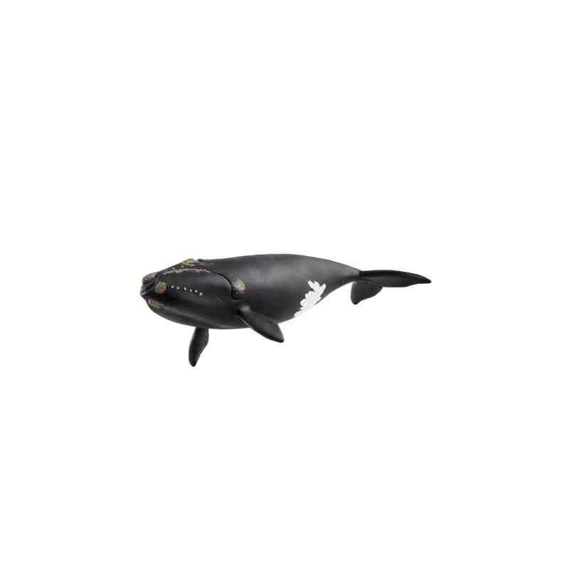 BALLENA FRANCA GLACIAL Wild  Life Schleich