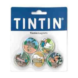 PACK 5 IMANS TINTIN