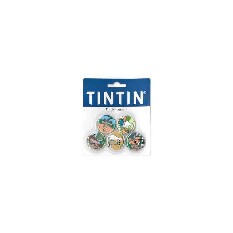 PACK 5 IMANS TINTIN