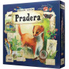 PRADERA