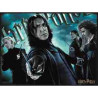 SLYTHERIN 3D 300 piezas  Harry Potter