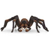 ARAGOG (Harry Potter)  Schleich