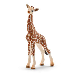 CRIA DE JIRAFA Schleich Wild Life Safari