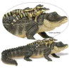 CAIMÁN CON CRÍAS
