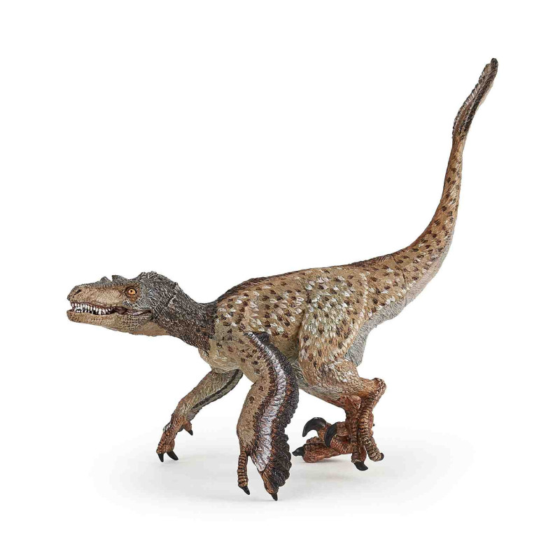 VELOCIRAPTOR AMB PLOMES Dinosaure apo