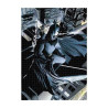 BATMAN VIGILANTE UNIVERSO DC PUZLE  1000 pcs