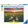 DENTS DE LLEO AL CAPVESPRE 500pcs. Puzzle Ravensburger