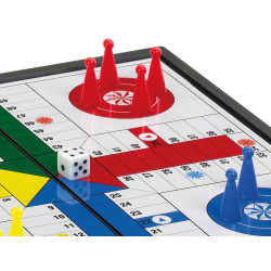 PARCHIS MAGNETICO