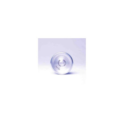 YOYO SNOW FOIX Amaya