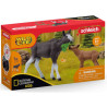 ALCE HEMBRA CON CRIA Schleich Wild Life Safari 42603