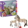 SET PRIMERS AUXILIS CAVALL(Horse Club)  Schleich 42430