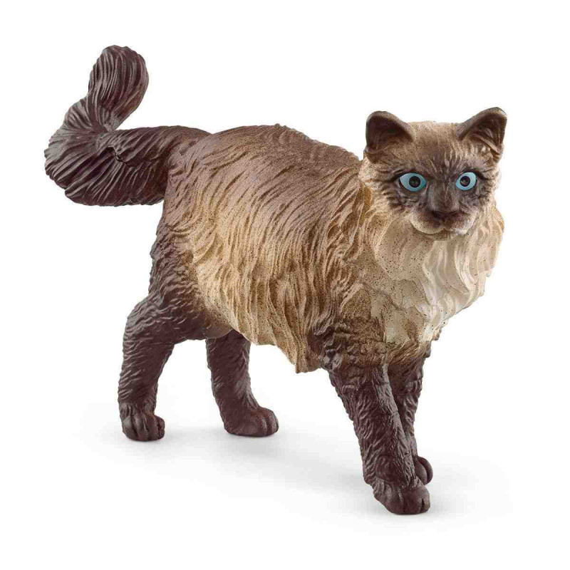 GATO RAGDOLL  Schleich Granja 13940