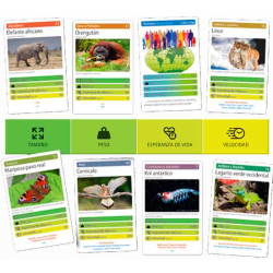 TOP ANIMALES  Joc de cartes Falomir