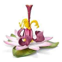 CAVALLETS PER ELF BAYALA  Schleich 42097