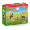 ENTRENAMENT D'AGILITAT PER PONIS  Schleich Cavalls 42481