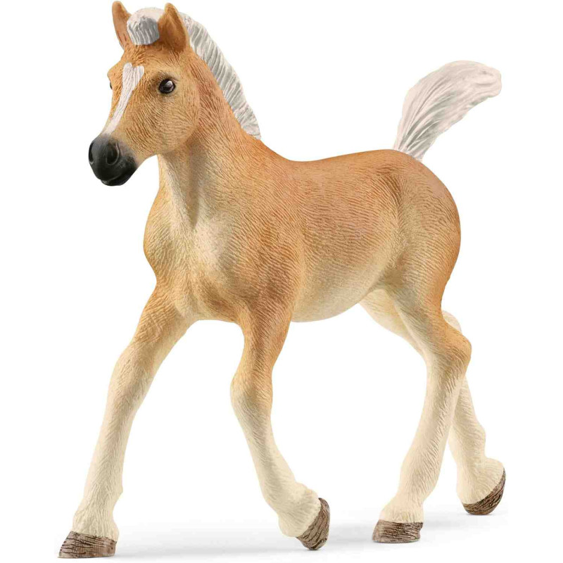 POLTRE HAFLINGER  Schleich Cavall 13951