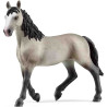 EUGA CHEVAL DE SELLE FRANÇAIS  Schleich Cavall 13955
