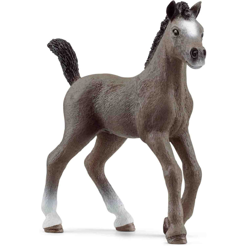 POTRO CHEVAL DE SELLE FRANÇAIS Schleich Caballos 13957