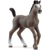 POTRO CHEVAL DE SELLE FRANÇAIS Schleich Caballos 13957
