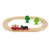 CIRCUIT PETIT TREN FORESTAL SET PRINCIPIANT BRIO 