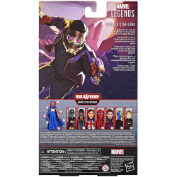 T'CHALLA STAR-LORD What if Marvel Legends Hasbro F03295L0