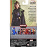 SYLVIE(Loki)Marvel Legends Hasbro F010975L0