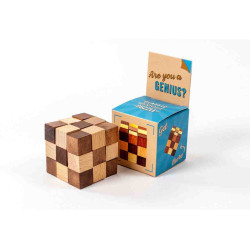 GENIUS?PUZLE ENGINY ARE YOU  RecentToys