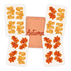 AUTUMN(Pocket) Joc de cartes Devir