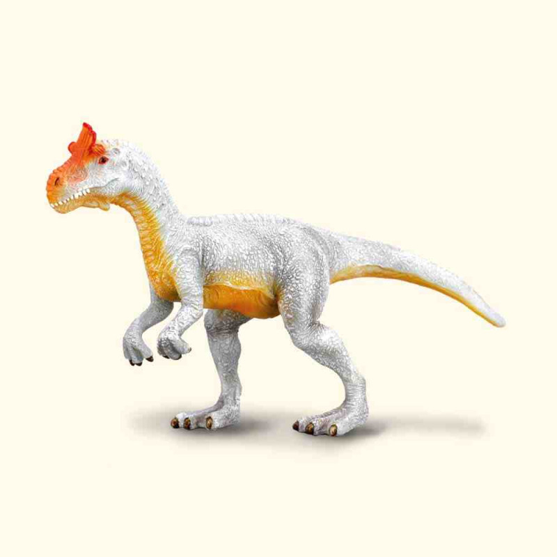 CRYOLOPHOSAURUS L