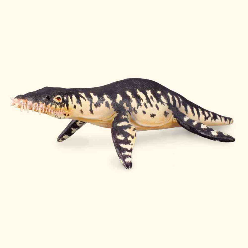 LIOPLEURODON L