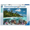 BUSSEIG A LES MALDIVES 2000pcs.Puzzle Ravensburger 17441