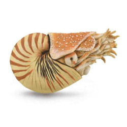 NAUTILUS POMPILIUS