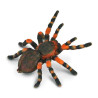 TARANTULA DE ANILLOS ROJOS