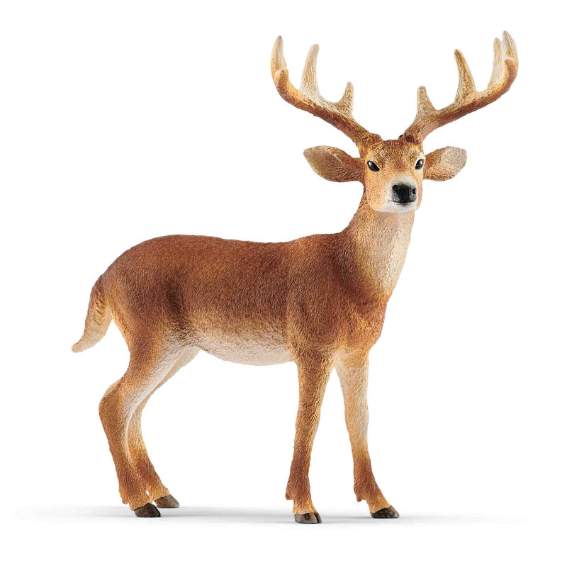 CIERVO DE COLA BLANCA MACHO   Schleich  Wild Life Bosque 14818