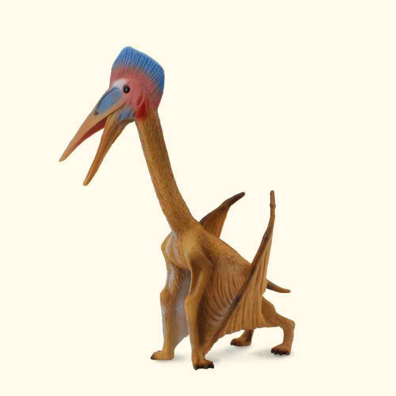 HATZEGOPTERYX