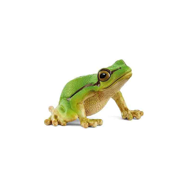 RANA ARBORICOLA EUROPEA Wild Life Vida Salvaje Schleich 14882