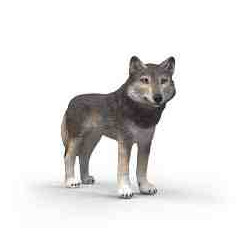 LLOP AMERICÁ Vida Salvatge Schleich 14991