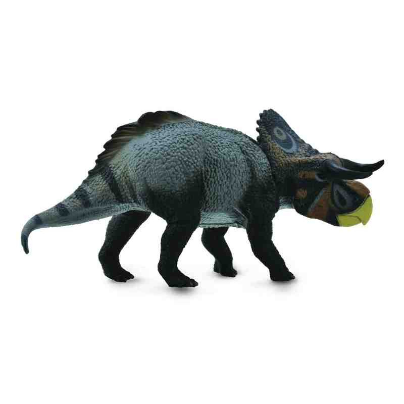 NASUTOCERATOPS L