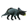 NASUTOCERATOPS L