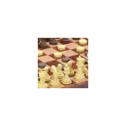 AJEDREZ/DAMAS 24X24 PLASTICO MAGNETICO Plegable (+7 Años.2 Jug.) Cayro-453