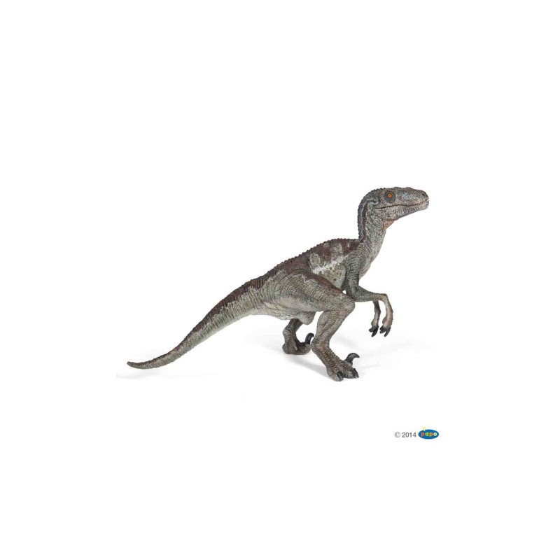 VELOCIRAPTOR Dinosaure Papo 55023