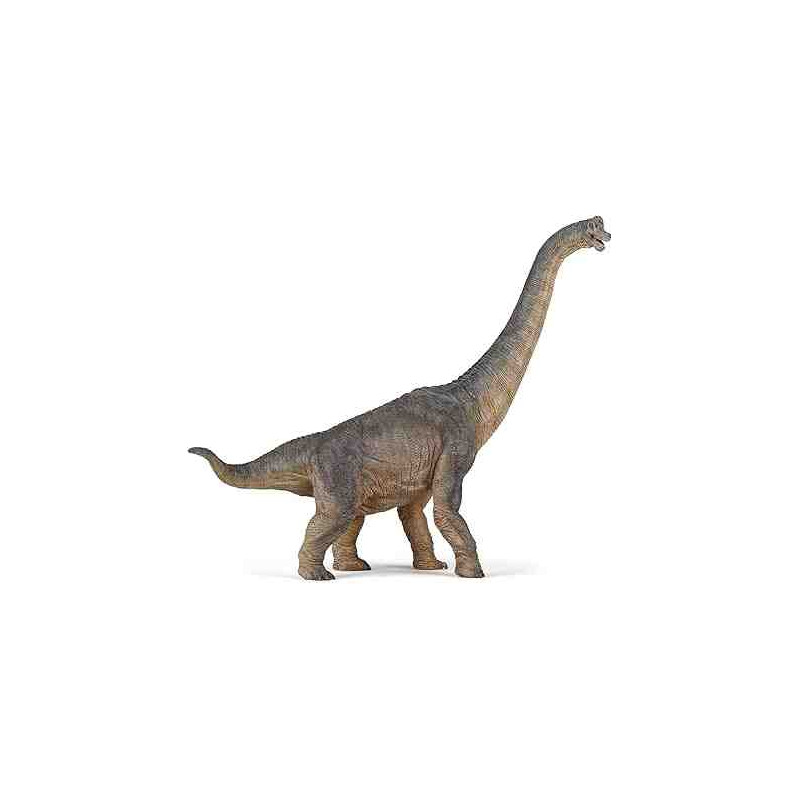 BRACHIOSAURIO Dinosaurio Papo 55030