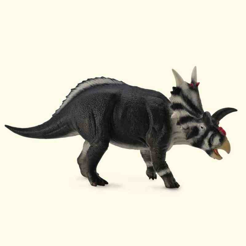 XENOCERATOPS L